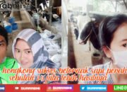 8 Tahun di Hongkong, Pulang Terbak Sapi, Sebulan Bisa Kantongi Untung 20 jutaan