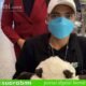 Alami Kecelakaan Kerja, TKI Taiwan Asal Brebes Tidak Bisa Berjalan dan Pulang Pakai Kursi Roda