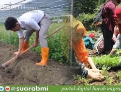 Epidemi Terkendali, 2.400 Calon Pekerja Migran Sektor Pertanian Disetujui Masuk Taiwan