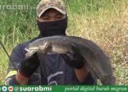 Hobi Mancing, TKI Taiwan Ini Malah Dapat Hoki, Hasil Mancing Dibeli Majikannya dan Sebagian Dibagi Bagi ke Warga Sekitar