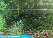 Kena Sengatan Listrik Babi Hutan, TKI di Taiwan Meninggal Dunia, Pemilik Lahan Dihukum 4 Bulan