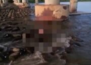 Mancing Dibawah Jembatan, Seorang PMI di Changhua Taiwan Malah Menemukan Mayat
