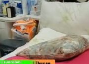 Kisah TKW Taiwan, Ditinggal Libur Lebaran, Saat Pulang Nenek yang Dijaga Sudah Meninggal, Begini Reaksi Majikannya