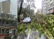 Topan Doksuri Makan Korban di Taiwan 1 Meninggal 7 Luka Luka, Tumbangkan Pohon dan Rusak Rumah, Bagaimana Kondisi Tempat kalian