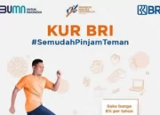 Jenis KUR Bank BRI untuk TKI (Tenaga Kerja Indonesia) Menawarkan Pinjaman Hingga Puluhan Juta