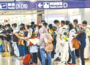 Yes Akhirnya Deal, TKI Sektor Pertanian dan Peternakan Dari Indonesia Diterima Masuk Taiwan, Peluang Lowongan Bakal Melimpah