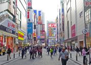 Penduduk Jepang Menua, Kesempatan Kerja Luas untuk Tenaga Kerja Indonesia di Jepang