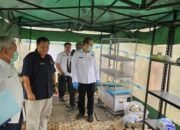 WNA di Bali ini Bukannya Liburan tapi Produksi Narkoba, Tertangkap deh