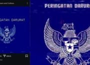 Viral Peringatan Darurat Indonesia, Ini yang Terjadi Sebenarnya