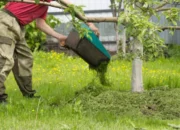 Daftar Gaji TKI di Inggris: Tukang Kebun hingga Pengasuh Anak, Rata-rata Rp29 Juta per Bulan