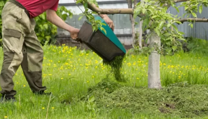 Daftar Gaji TKI di Inggris: Tukang Kebun hingga Pengasuh Anak, Rata-rata Rp29 Juta per Bulan