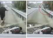 Ketakutan Dikejar-kejar, Pekerja Migran Ilegal Lompat Pagar dan Tinggalkan Motor di Jalan Tol