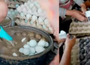 Dilarang Jadi TKW Lagi, Wanita Ini Sukses Bangun Rumah dan Beli Kendaraan dari Telur Asin, Begini Triknya