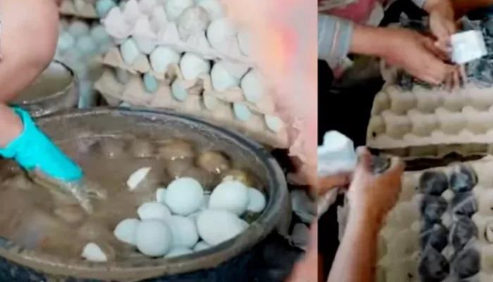 Dilarang Jadi TKW Lagi, Wanita Ini Sukses Bangun Rumah dan Beli Kendaraan dari Telur Asin, Begini Triknya