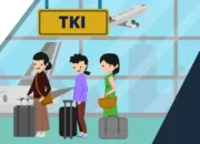 Mau Jadi PMI? Ini Panduan Lengkap Cara Daftar Resmi dan Aman yang Wajib Kamu Ketahui!
