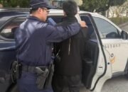 Pekerja Migran Tembak Anjing Sampai Mati, Langsung Digelandang Polisi Usai Terungkap Kekejamannya!