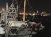 2 ABK WNI Tertangkap Basah saat Coba Selundupkan Belut Panggang Senilai Rp2 Miliar di Taiwan!
