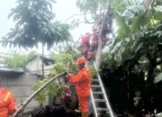 TKI Asal Jembrana MD Tertimpa Pohon di Jepang, Pemulangan Jenazah Kebentur Kendala