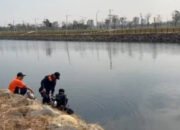 Kasus Mutilasi di Kaohsiung Gempar, Wanita Lansia Ditemukan Terpotong-potong Kayak Daging Sapi