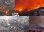 WNI Diminta Waspada Pasca Darurat Bencana Kebakaran Hutan di Korea Selatan