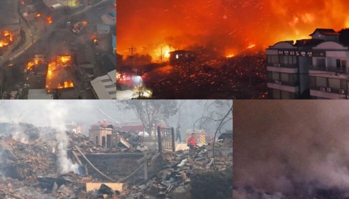 WNI Diminta Waspada Pasca Darurat Bencana Kebakaran Hutan di Korea Selatan