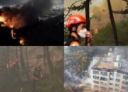 Kebakaran Dahsyat Kembali Hantam Korea Selatan, 5.600 Warga Mengungsi dan 150 Hektar Lahan Terbakar!