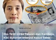 Kelabuhi Warga jadi TKW Fiktif di Taiwan-Hong Kong hingga Kamboja, Rekam Jejak Dewi Astutik Buronan Interpol Kasus 2 Ton Sabu Mulai Terkuak