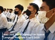 Simak! Syarat dan Persiapan Jadi TKI ke Jepang 2025 Melalui Program G to G
