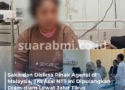 PMI Asal NTT Dipulangkan dalam Kondisi Koma, Diduga Korban Penyiksaan Agensi di Malaysia