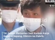 Jepang Bongkar Modus Perusahaan Pekerjakan TKI Secara Ilegal di Luar Sektor Pertanian