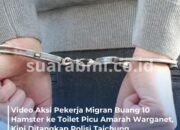 Sengaja Buang 10 Hamster ke Toilet, Seorang Pekerja Migran di Taichung Diselidiki!
