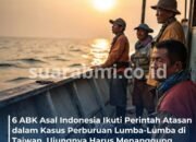 43 Lumba-Lumba Diburu untuk Umpan Hiu, 6 ABK Indonesia di Taiwan Kena Denda