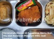 25 Siswa dan Guru SD di Ketapang Keracunan Usai Makan Ikan Hiu dari MBG
