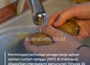 Permintaan ART di Indonesia Turun 30 Persen