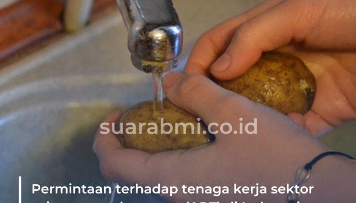Permintaan ART di Indonesia Turun 30 Persen