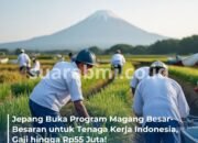 Jepang Buka Program Magang Besar-Besaran untuk Tenaga Kerja Indonesia, Gaji hingga Rp55 Juta!