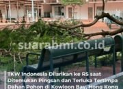 Seorang TKW Indonesia Dilarikan ke Rumah Sakit setelah Tertimpa Dahan Pohon di Kowloon Bay, Hong Kong
