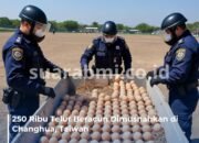 250 Ribu Telur Beracun Dimusnahkan di Changhua, Taiwan! Polisi Kawal Ketat hingga Detik Terakhir