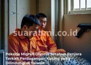 Pekerja Migran Vietnam Terlibat Perdagangan Kucing Dilindungi, Divonis Penjara Setahun di Taiwan