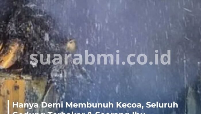 Hanya Demi Membunuh Kecoa, Seluruh Gedung Terbakar dan Seorang Ibu Kehilangan Nyawa