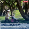 PMI di Hsinchu Diduga Alami P*lec*h4n S*k$u4l oleh Pasien Lansia, Dijanjikan Imbalan Uang